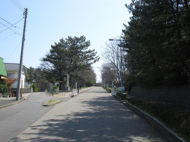 大学・短大　国立新潟大学北門（大学・短大）まで387m