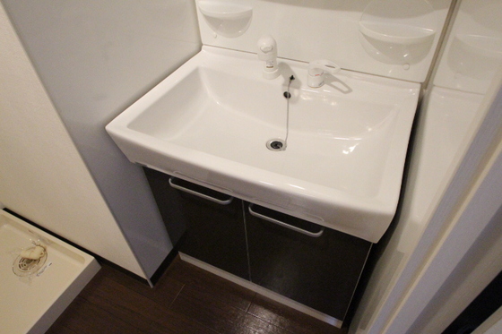 洗面設備　※他号室の写真です。