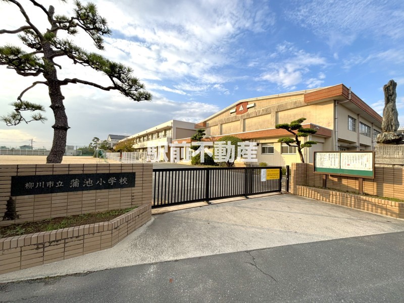 小学校　蒲池小学校（小学校）まで800m