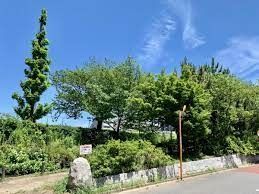 公園　亀戸九丁目緑道公園（公園）まで980m