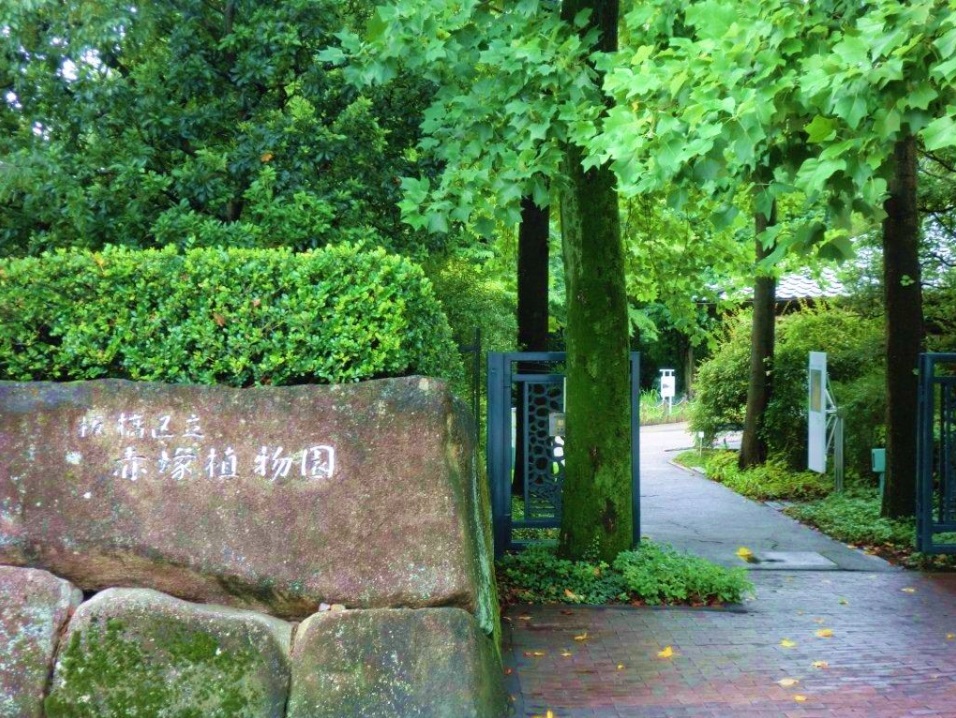 公園　赤塚植物園（公園）まで556m