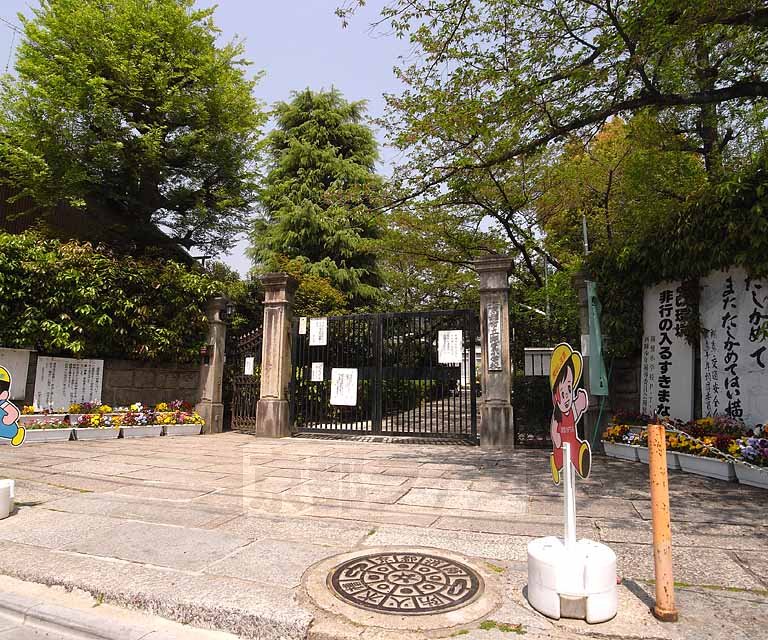 小学校　翔鸞小学校（小学校）まで261m