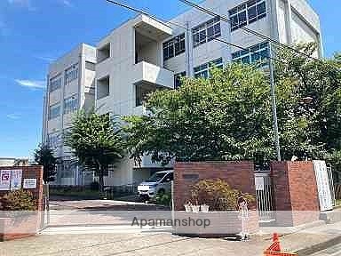 小学校　東小学校（小学校）まで955m