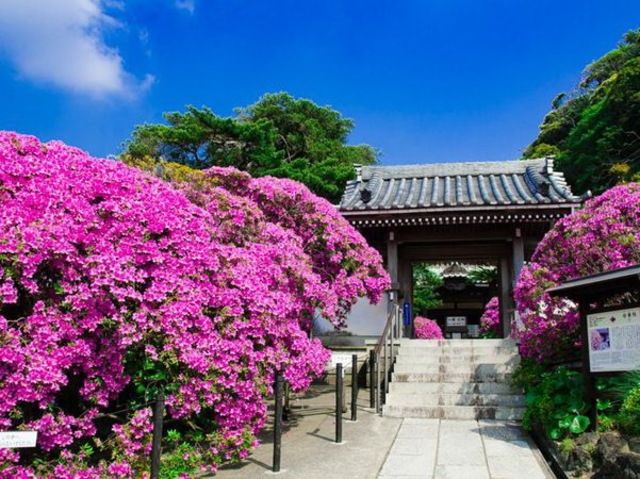 その他　安養院（その他）まで580m