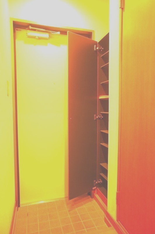 玄関　図面と現状に相違がある場合には現状を優先