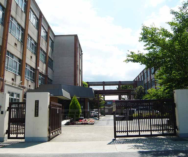 中学校　向島中学校（中学校）まで542m