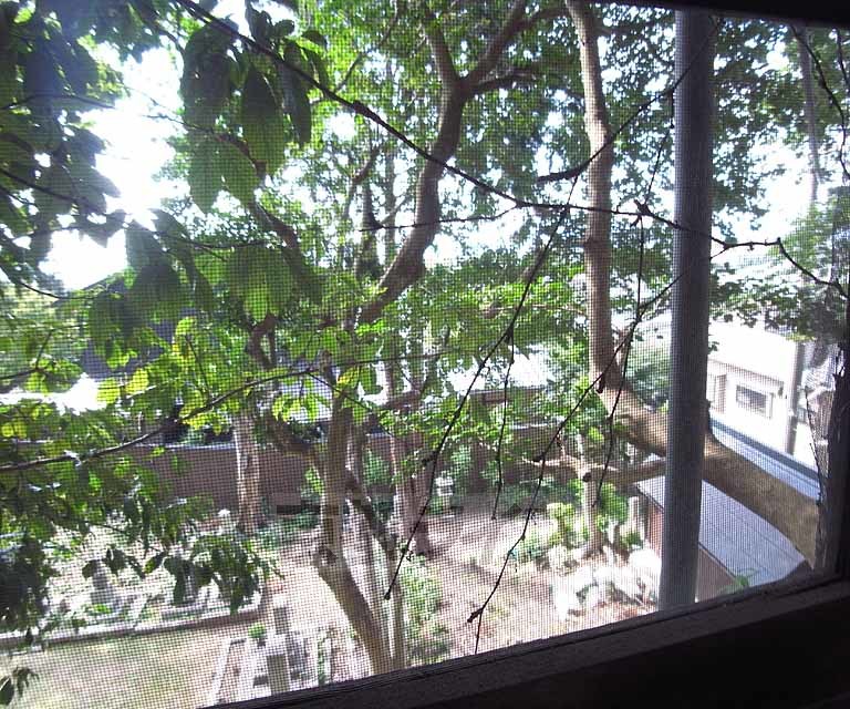 眺望　のどかです。