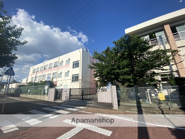 小学校　桜小学校（小学校）まで256m