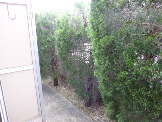 眺望　１０７テラスからの眺望