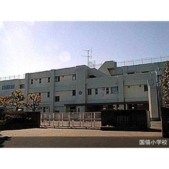 小学校　市立国領小学校（小学校）まで250m
