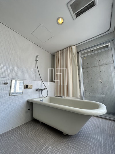 バス・シャワールーム　レキシントン・スクエア北堀江　バスルーム