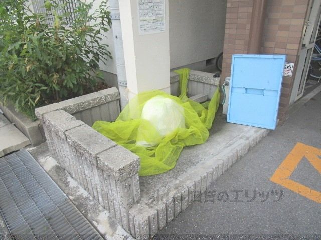 その他設備　ゴミ置き場