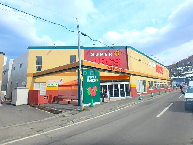 スーパー　スーパーアークス奥沢店（スーパー）まで250m