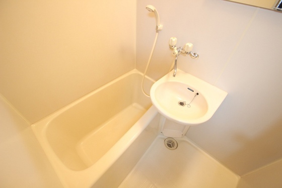 バス・シャワールーム　※別部屋の写真です