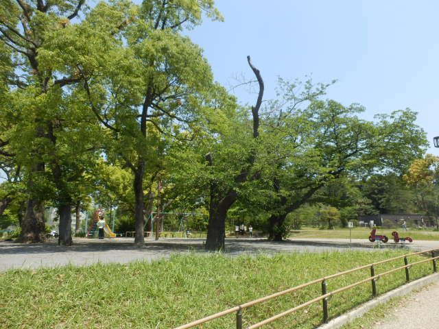 公園　八幡山公園（公園）まで613m