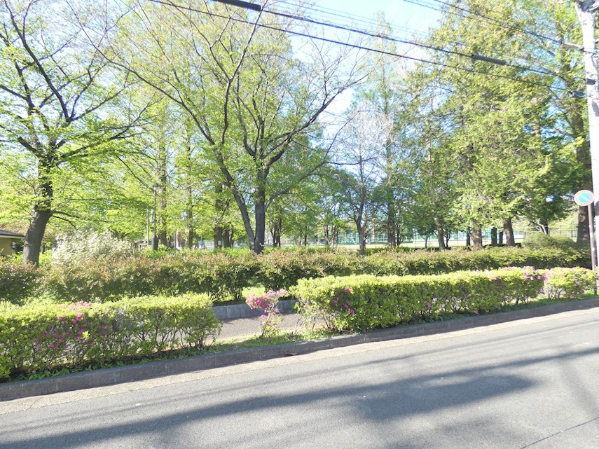 公園　東綾瀬公園（公園）まで459m