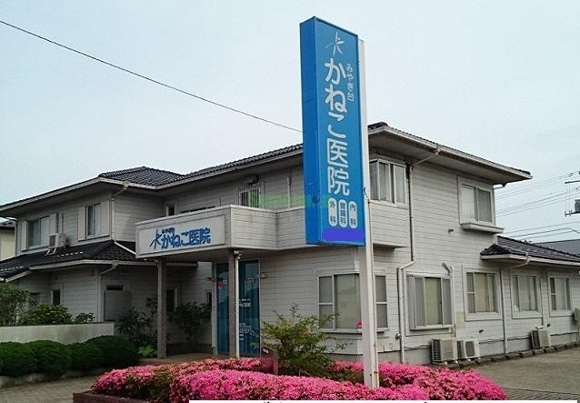 病院　みやぎ台かねこ医院（病院）まで200m