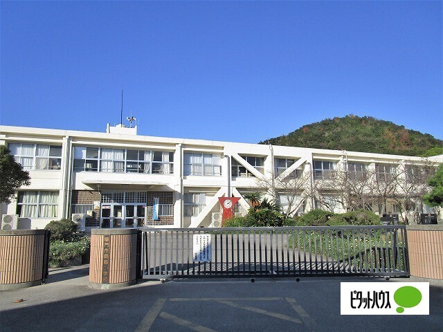 小学校　鳴門市立桑島小学校（小学校）まで505m