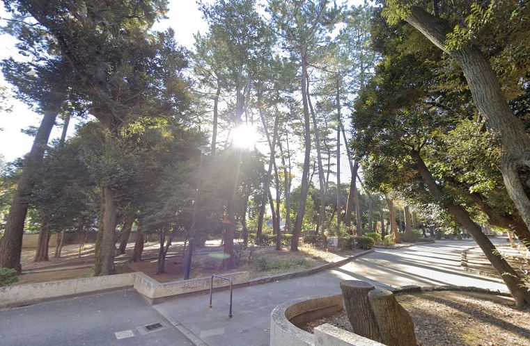 公園　若林公園（公園）まで131m