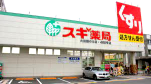 ドラックストア　スギ薬局 大田鵜の木店（ドラッグストア）まで710m