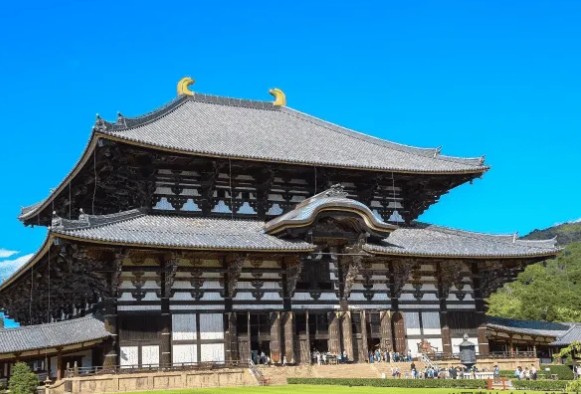 その他　本応寺（その他）まで709m