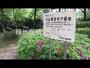 公園　小山観音谷戸緑地（公園）まで245m