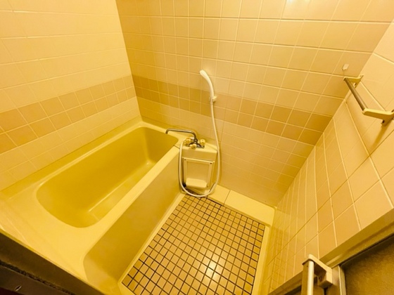 バス・シャワールーム　別号室の写真です。