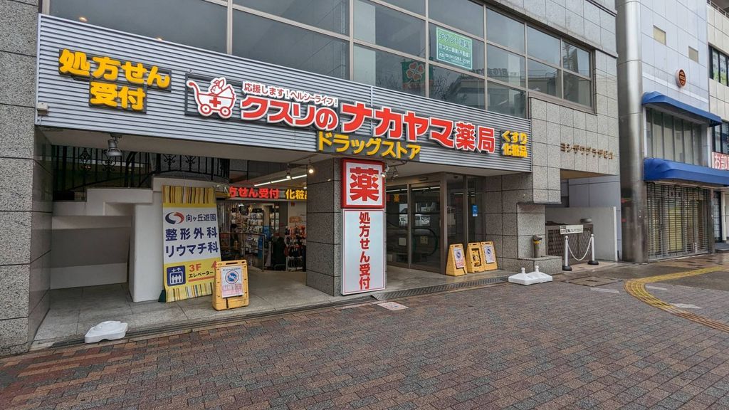 ドラックストア　クスリのナカヤマ薬局 向ヶ丘遊園駅南口店（ドラッグストア）まで550m