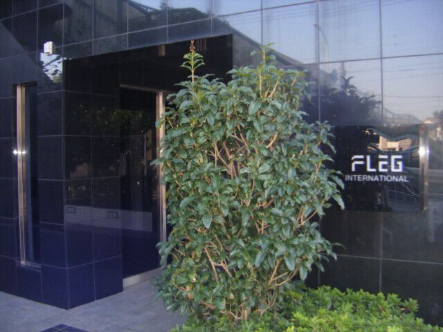 エントランス　エントランス☆