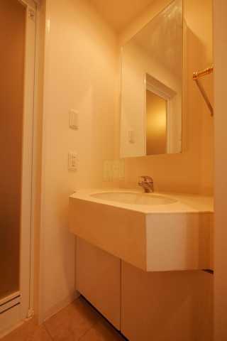 洗面設備　レジディア文京千石の洗面所