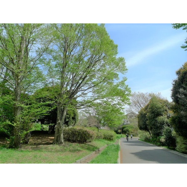 公園　旭町はんの木緑地（公園）まで1261m