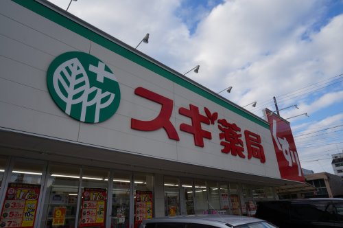 ドラックストア　スギ薬局（ドラッグストア）まで750m