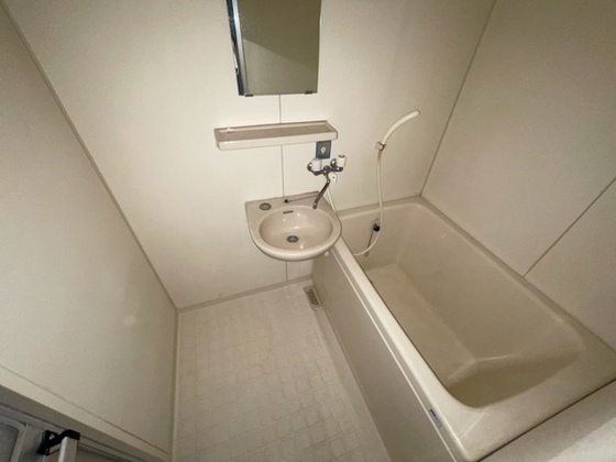 バス・シャワールーム　※別部屋の写真です