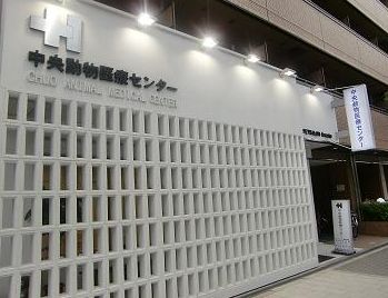 病院　中央動物医療センター（病院）まで300m