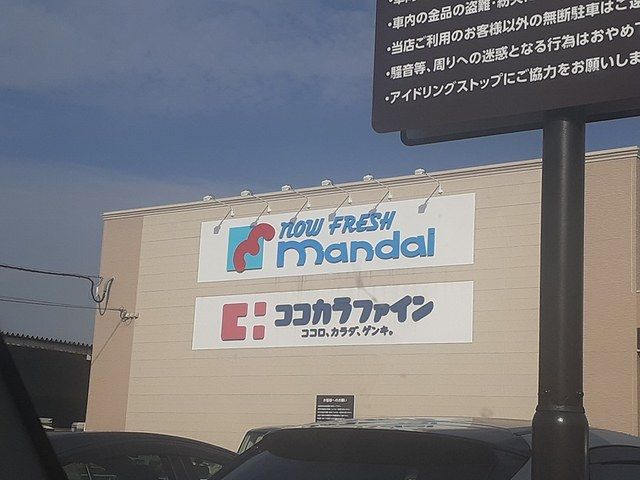 ドラックストア　ココカラファイン島泉店様（ドラッグストア）まで1383m