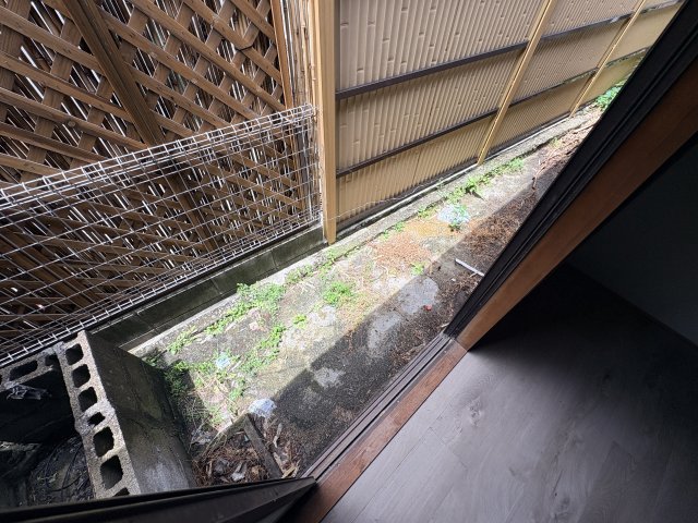 庭