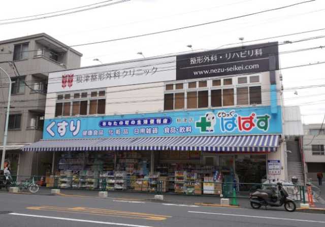 ドラックストア　どらっぐぱぱす 根津店（ドラッグストア）まで161m