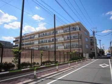 小学校　北区立西浮間小学校（小学校）まで647m