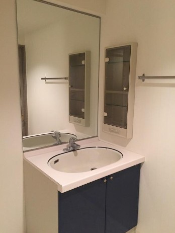 洗面設備　他タイプのお写真です