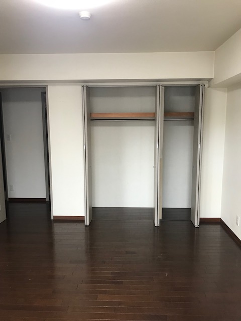 収納　他タイプ、クリーニング前のお写真です