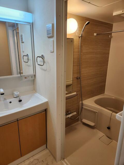 バス・シャワールーム　同タイプ別部屋写真?