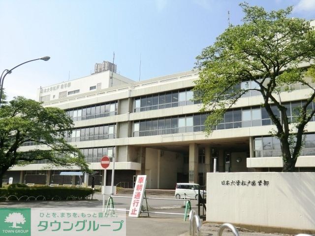 その他　日大松戸歯学部（その他）まで820m