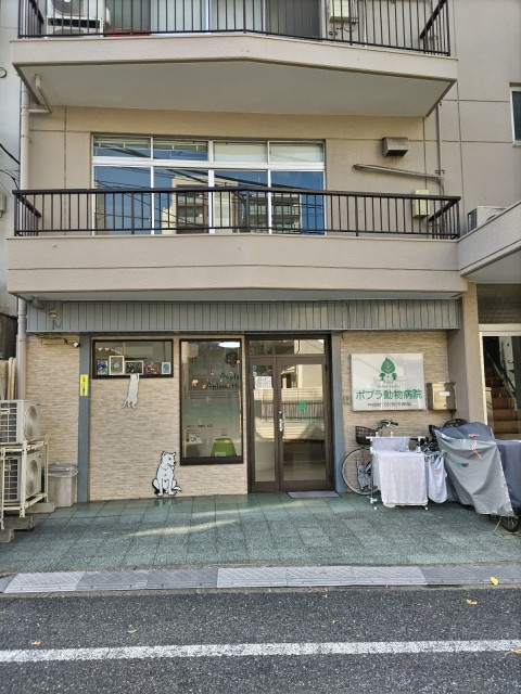 病院　ポプラ動物病院（病院）まで450m