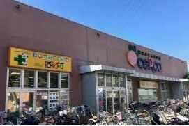 ドラックストア　どらっぐぱぱすセルカ高砂店（ドラッグストア）まで310m