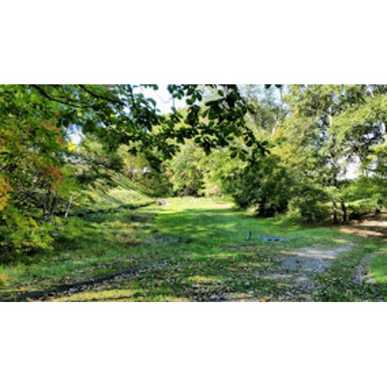 公園　つつじ公園（公園）まで700m