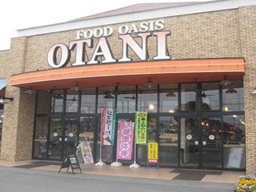 スーパー　フードオアシスＯＴＡＮＩ一の沢店（スーパー）まで528m