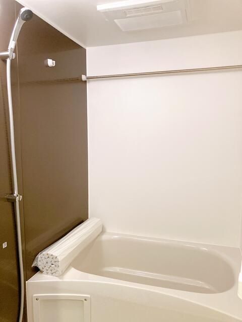 バス・シャワールーム　コンパクトで使いやすいお風呂です