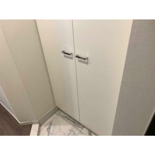 玄関　※同仕様写真含む