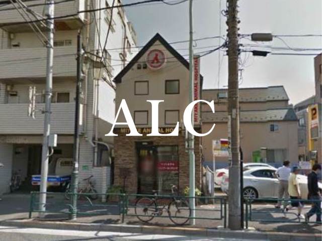 病院　みやけ動物病院（病院）まで185m