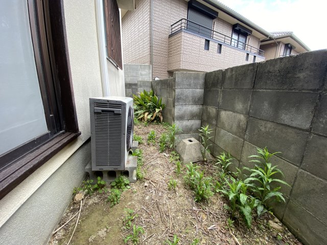 庭